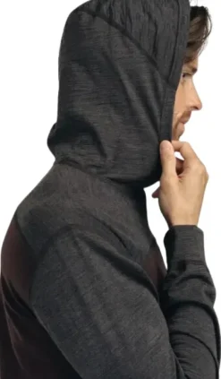 LightWool 180 Hoodie M's Chocolate Plum / Marengo-Aclima Discount
