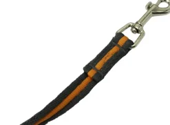 Active Canis jälkiliina, 10 m Hot