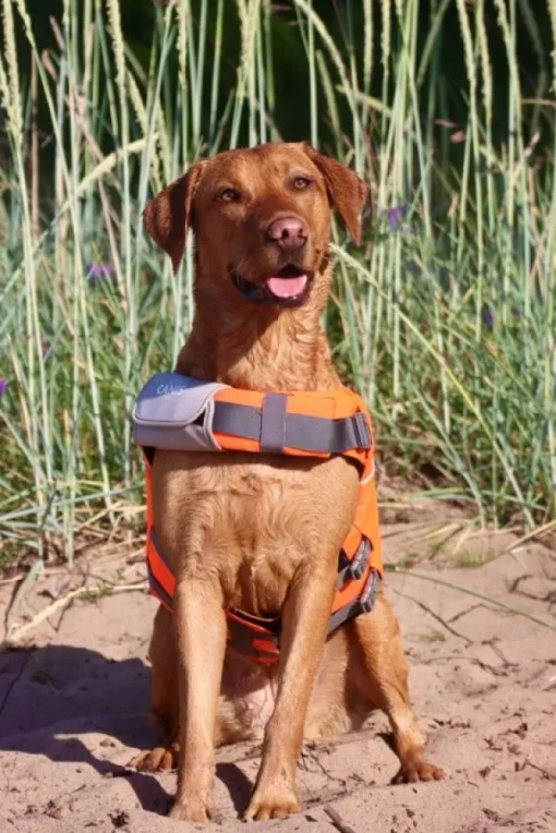 koiran kelluntaliivi, XL-XXL-Active Canis Sale