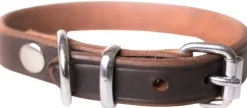 Active Canis Leather Collar koiran nahkapanta, 55 - 60 cm Fashion