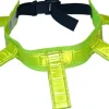 Alac metsästyskaulapanta heijastimilla 55-65 cm Reflex Clearance