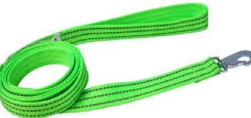 Alac Reflex talutin heijastimilla, 18mmx190cm, vaaleanvihreä Fashion