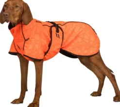 Back on Track Bark koiran takki, 25-35 cm, Orange Sale