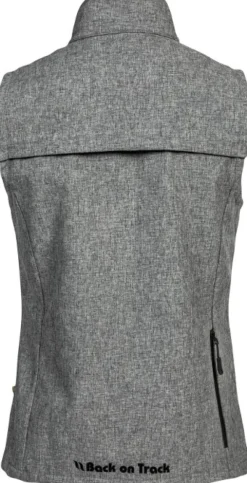 Back on Track Ray High Visibility Vest liivi, Grey Online