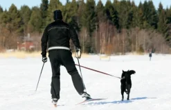 Softbelt Reflex Gul juoksuvyö heijastimella-Baggen Clearance