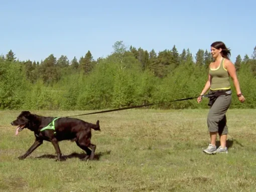 Softbelt Reflex Gul juoksuvyö heijastimella-Baggen Clearance