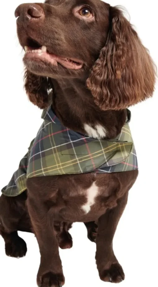 Barbour Packable Dog Coat koiran sadetakki, Classic Tartan New