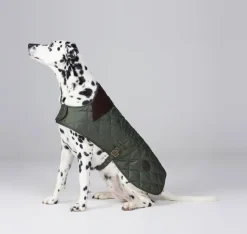 Barbour Quilted Dog Coat koiran takki, vihreä Outlet