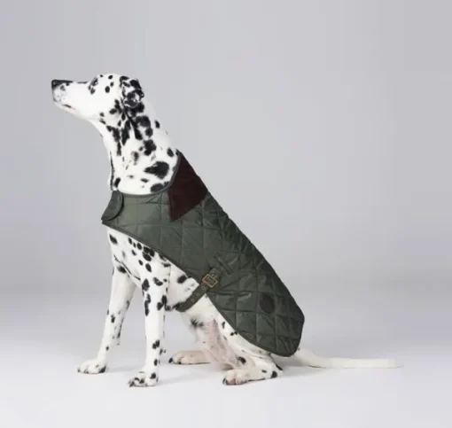 Barbour Quilted Dog Coat koiran takki, vihreä Outlet