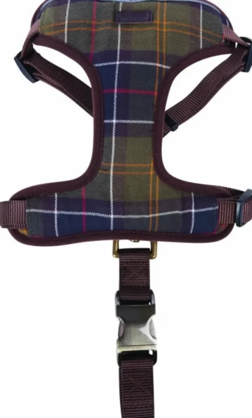Travel/Exercise Harness matkavaljaat-Barbour Clearance