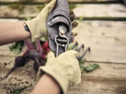 Barebones Pruner oksasakset kotelolla Outlet