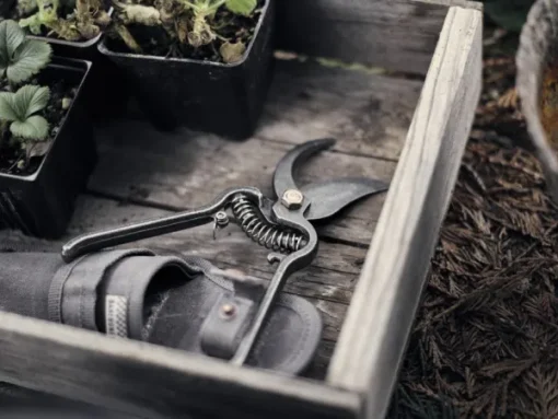 Barebones Pruner oksasakset kotelolla Outlet