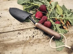 Barebones Spade Hand Trowel puutarhalapio, Walnut Sale