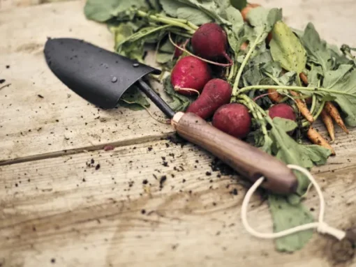 Barebones Spade Hand Trowel puutarhalapio, Walnut Sale