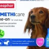 Flea & Tick Line On Small Dog hoitotuote-Beaphar Online