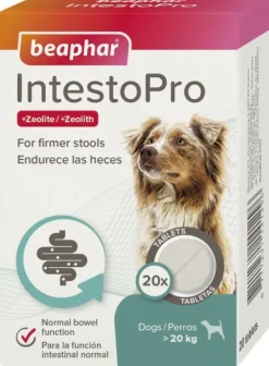 IntestoPro tabletit ruoansulatusongelmiin >20kg, 20 kpl-Beaphar Online