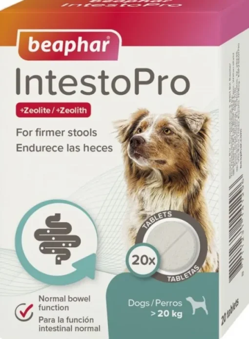 IntestoPro tabletit ruoansulatusongelmiin >20kg, 20 kpl-Beaphar Online