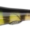 Berkley URBN Hollowbelly V-Tail ontto kumiviehe, 7,5 cm Clearance