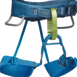Kids Momentum Harness Kingfisher -lasten kiipeilyvaljaat-Black Diamond Sale