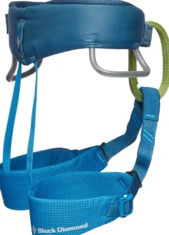 Kids Momentum Harness Kingfisher -lasten kiipeilyvaljaat-Black Diamond Sale