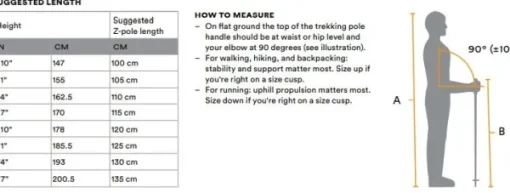 Black Diamond Pursuit FLZ Trekking Poles vaellussauvat, musta/punainen Discount