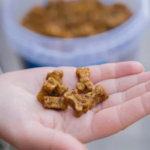  Beef Training Snackn koiran makupalat, 1 kg-Buddy Hot