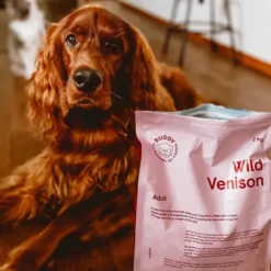 Buddy  Wild Venison kuivaruoka, 12 kg New