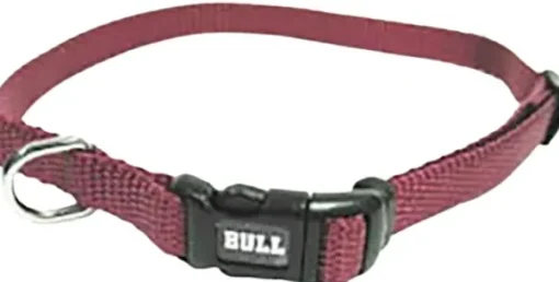 Collar Nylon Burgundy 45-65 cm-Bull Fashion