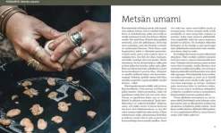 Calazo Herkuttelijan sienikirja New