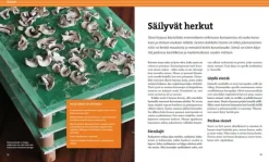 Kuivaa ruokaa-Calazo Discount