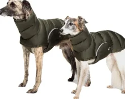Cloud7 Alaska Dog Coat koiran takki, koot 6-10, Olive Hot