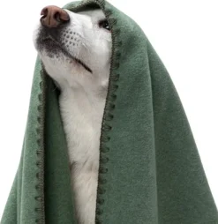 Blanket Fleece koiranpeitto, M, vihreä-Cloud7 Best