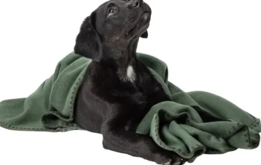 Blanket Fleece koiranpeitto, M, vihreä-Cloud7 Best