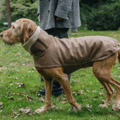 Cloud7 Brooklyn Dog Coat koiran takki, Flannel Hazel, 6–10 Fashion