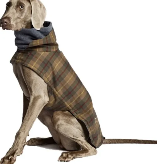 Cloud7 Brooklyn Dog Coat Waxed Tartan koiran takki, koot 6-10, Tartan Sale