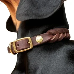 Collar Central Park nahkapanta, XS-M, ruskea-Cloud7 Discount