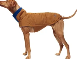 Cloud7 Dog Coat Brooklyn Waxed Cotton koiran talvitakki, koot 6-9, Curry Discount