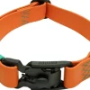 Cloud7 Dog Collar Ipanema kaulapanta, S-M, Orange Clearance