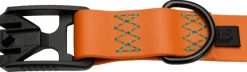 Cloud7 Dog Collar Ipanema kaulapanta, S-M, Orange Clearance