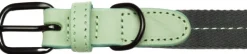 Cloud7 Dog Collar Madeira kaulapanta, L-XL, Mint New