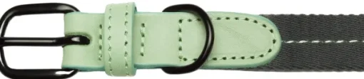 Cloud7 Dog Collar Madeira kaulapanta, L-XL, Mint New