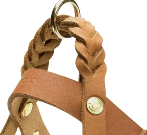Cloud7 Harness Central Park nahkavaljaat, XS-S, vaaleanruskea Sale