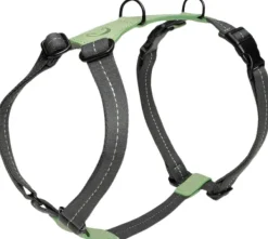 Cloud7 Harness Madeira valjaat, XL-XXL, Mint Clearance