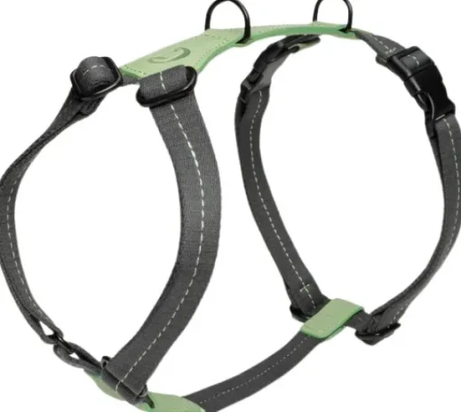 Cloud7 Harness Madeira valjaat, XL-XXL, Mint Clearance