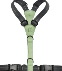 Cloud7 Harness Madeira valjaat, XL-XXL, Mint Clearance