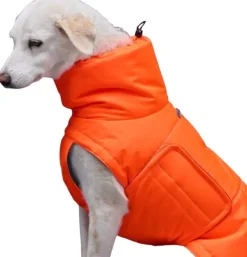 Cloud7 Yukon Dog Coat koiran takki, koot 6-10, Neon Orange Sale