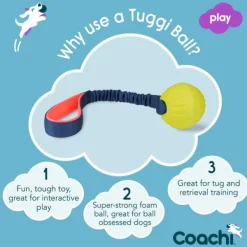 Tuggi Ball lelu joustolla, sininen/oranssi/lime-Coachi Fashion
