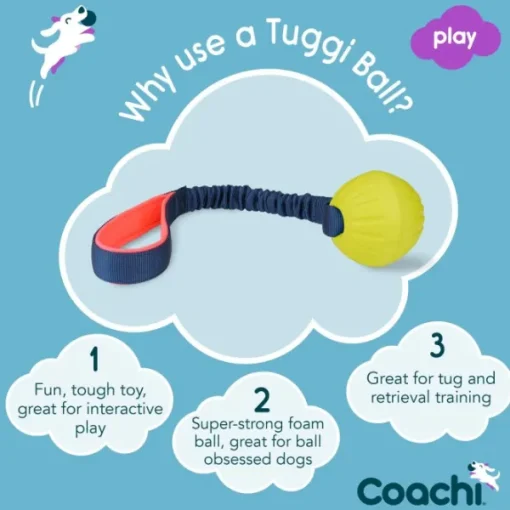 Tuggi Ball lelu joustolla, sininen/oranssi/lime-Coachi Fashion