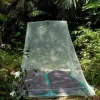 Cocoon Outdoor Net Double Silt Green Fashion