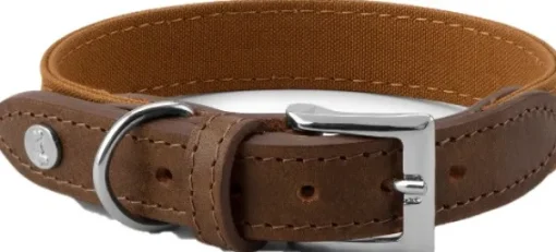 Signature kaulapanta, XL-XXL, Brown/Mustard-Denjo Dogs Fashion